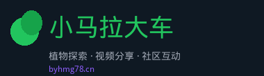 小马拉大车